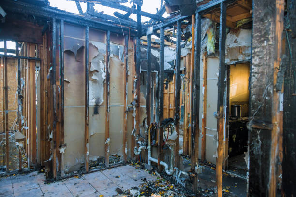 Professional Fire Damage Removal technician working in Washington Grove, MD