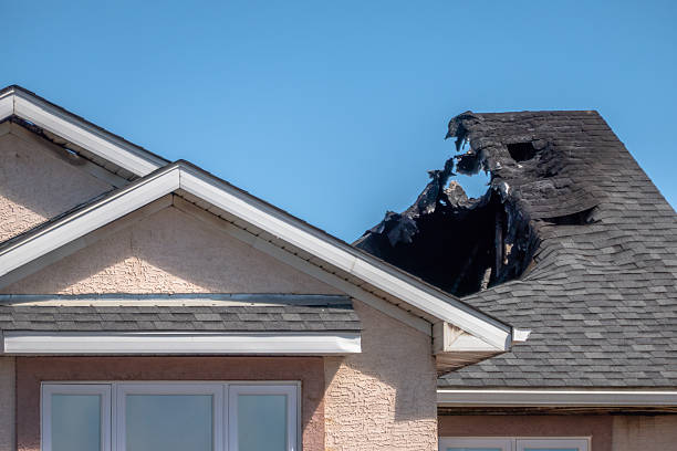 Top rated local Fire Damage Removal specialists in Washington Grove, MD